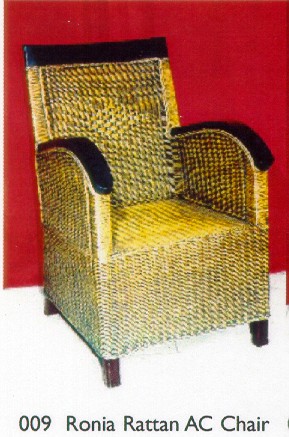 009 Ronia Rattan AC Chair.jpg (50343 bytes)