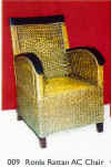 009 Ronia Rattan AC Chair.jpg (50343 bytes)